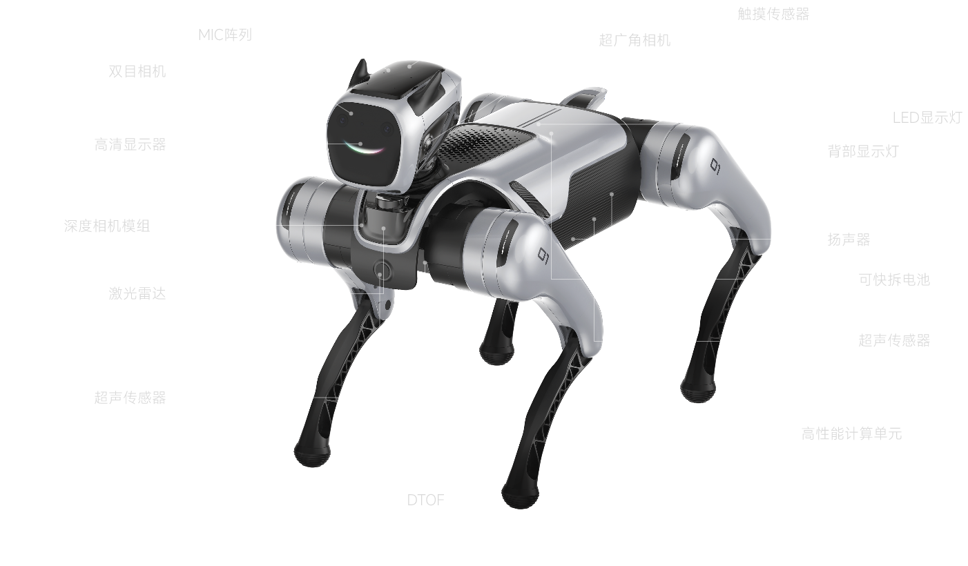 dog background