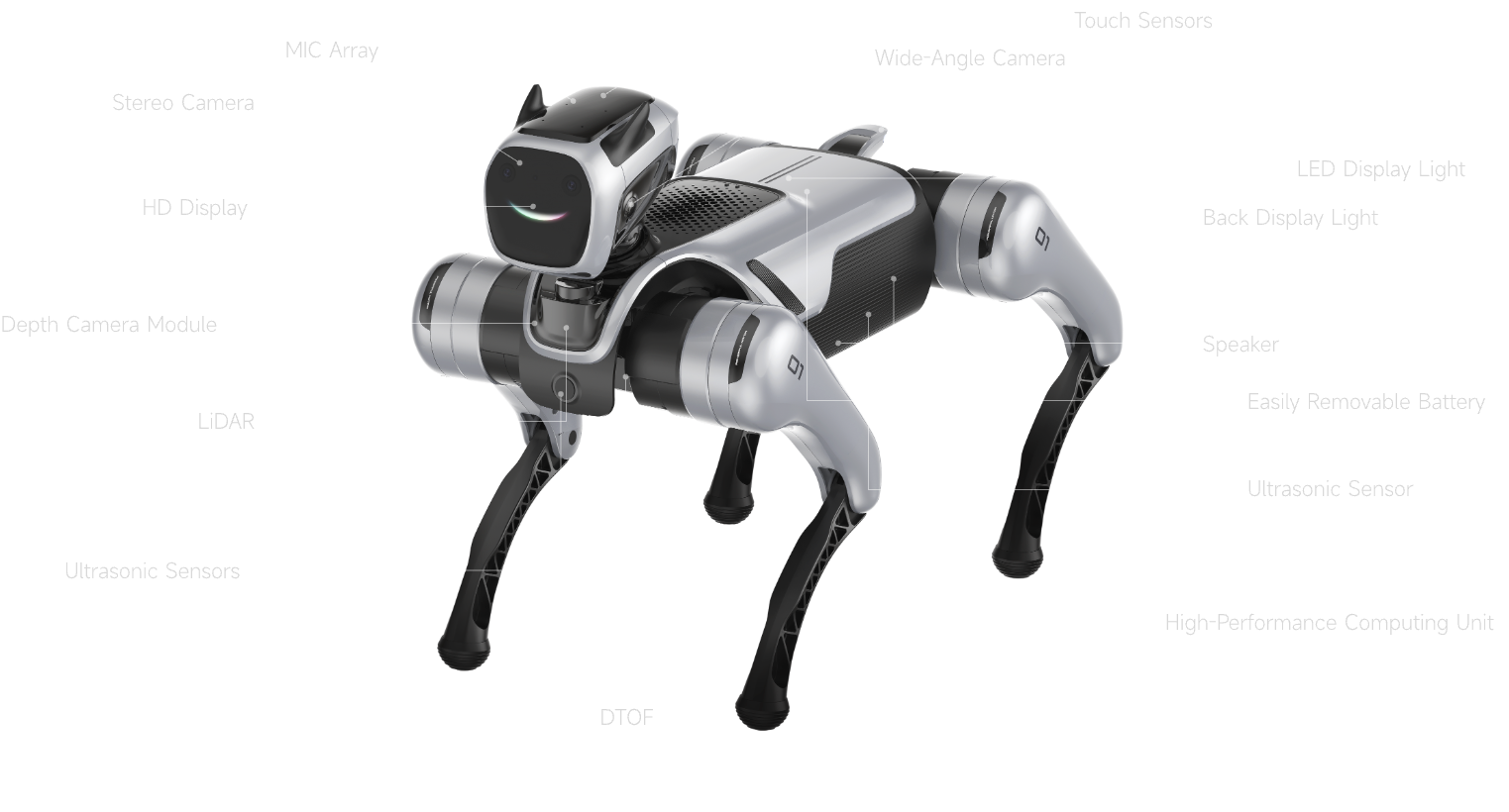 dog background