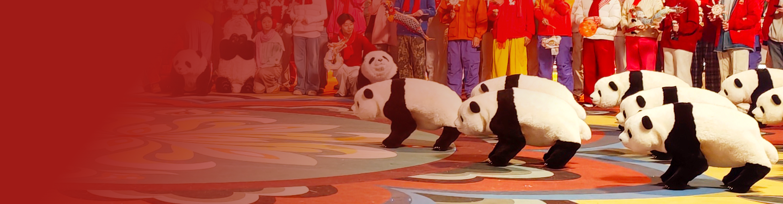 Lunar New Year Limited Edition 